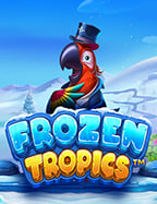 วิธีแก้ปัญหา slotxo เข้าไม่ได้ แบบง่ายๆ ที่ทุกคนทำได้